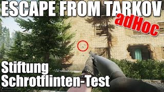 Schrot Munition Appendix I Stiftung Schrotflinten Test Tarkov 🌆 [upl. by Bobina]