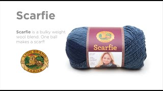 Get to Know Scarfie [upl. by Ahsiled992]