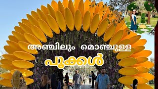 International Flower Show Al ainഎന്താ പൂപ്പാ vlogmalayalam [upl. by Adnohsar]