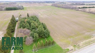 6934 Wellington Rd S London ON  Farms For Sale In Ontario [upl. by Lisabeth]