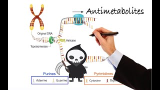 Pharmacology  CANCER DRUGS  ANTIMETABOLITES MADE EASY [upl. by Lamrert686]