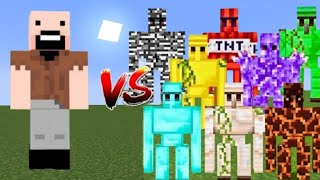 NOTCH vs ALL GOLEMS  Minecraft Mob Battle [upl. by Wolfie310]