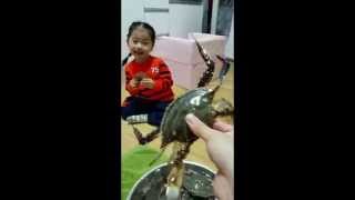 ENG SUB Crab Is Scary 게는 무서워 [upl. by Nottnerb]