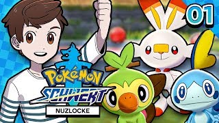 Unser NEUES Abenteuer 😍 Pokémon Schwert Nuzlocke [upl. by Naleag163]