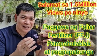 PAGGAWA NG FOLIAR FERTILIZER PAMPABULAKLAK AT PAMPABUNGA NG MGA HALAMAN with ENG subs [upl. by Erreipnaej]