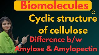 Cyclic Structure Of Cellulose  Difference Between Amylose And Amylopectin 😱😱🔥🔥 [upl. by Aisylla382]