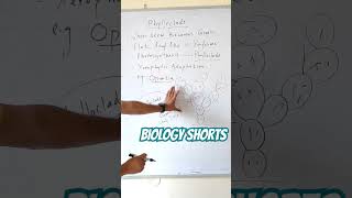 What is Phylloclade viralbiology biology botany taxonomy [upl. by Ciaphus]