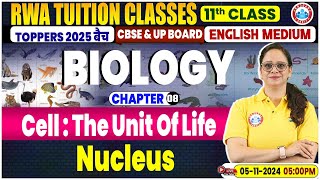 Class 11 Biology Chapter 8 Cell  The Unit Of Life  Nucleus  Biology By Vandana Maam [upl. by Tanaka]