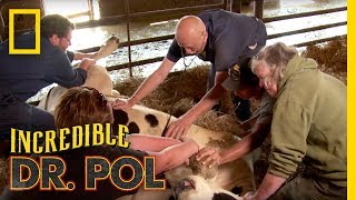 Series Trailer  The Incredible Dr Pol [upl. by Otiv]