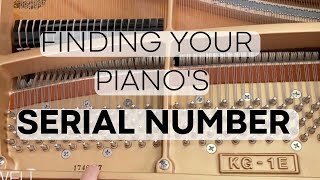 Where to Find a Piano Serial Number In Just a few steps [upl. by Airehtfele688]