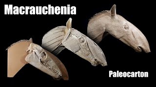 Macrauchenia Paleocarton [upl. by Irme]