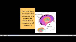 The Hidden Factor in Relationship Disharmony  Marnia Robinson [upl. by Helge]