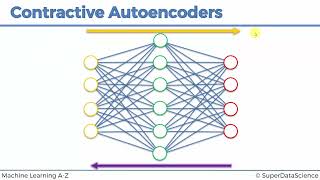 26 Contractive AutoEncoders [upl. by Sehcaep]