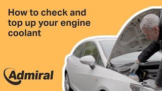 How to check engine coolant level in your car and top it up  AdmiralUK [upl. by Ettennej]