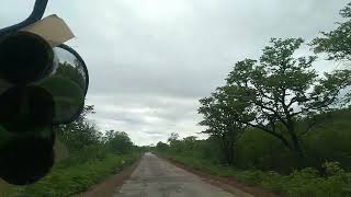 Kilundo game park Zimbabwe Africa with maccolosafaris storyzabatambuze 1 [upl. by Soma]