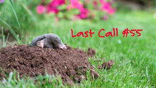 Last Call at Salt City 55 War of the Rodents [upl. by Mastic523]