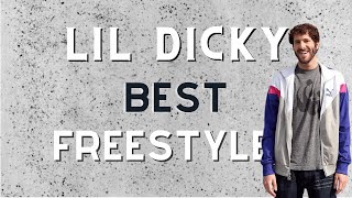 Lil Dicky Freestyle Compilation Best Freestyles [upl. by Akirrehs]