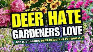 🦌🚫 DEER HATE GARDENERS LOVE Top 15 Stunning DeerResistant Perennials 🌸💥 [upl. by Hannazus]