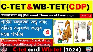 Different Between Classical And Operant Congratulations theoryLearning TheoryCtet And Wbtet [upl. by Ycam63]