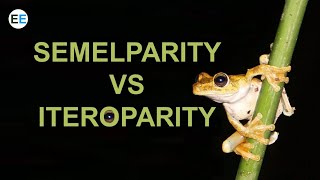 Semelparity vs Iteroparity  EvolutionExamples [upl. by Nwonknu]