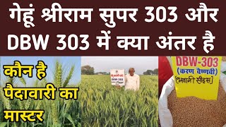 श्री राम सुपर 303 और DBW 303 में क्या अंतर है कौन है पैदावारी का मास्टर। wheat variety [upl. by Bushey]