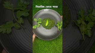 নিরামিষ ধোনে পাতা বাটা রেসিপি। ধনে পাতা বাটা। Dhone Pata Bata Recipe Bengali  Dhone pata Bata [upl. by Bea903]