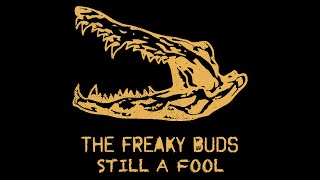 The Freaky Buds  Still a fool Live at Cognac Blues Passion [upl. by Arakahs]