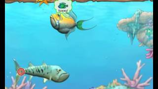 Feeding Frenzy 2 walkthrough full gameplay no commentary [upl. by Nivlam199]