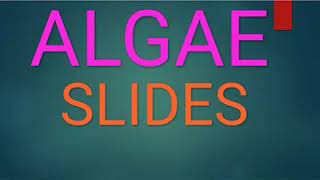 Algae slides Bsc 1st year [upl. by Adnavoj]