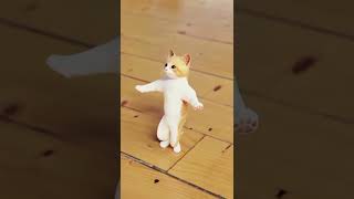 Video Kucing Lucu MeongMeong Anak Kucing Lucu dan Imut [upl. by Joshia]