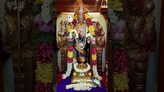 subramanya swamylord subramanya swamysubramanya swamy songssubramanyasubramanya llnagamma541 [upl. by Swehttam]