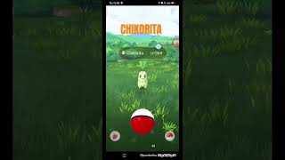 Chikorita pokemongo collectiblecardgame [upl. by Lazaro]