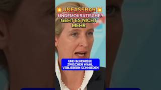 💥AMPEL💥 ABSOLUTE VERLIERER⚡ afd ampel politik scholz habeck weidel bärbock höcke bsw cdu [upl. by Naek]