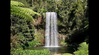 Travel at TablelandAtherton Cairns Australia [upl. by Snowman]