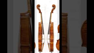 Carlo Bergonzi ‘Salabue Martzy’ violin 1733 [upl. by Nylahsoj969]