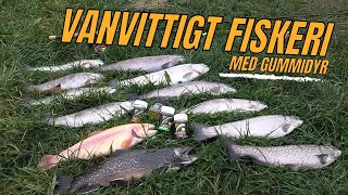 VANVITTIGT FISKERI MED GUMMIDYR I PampT SØEN  NATURNØRD 636 [upl. by Esylla78]