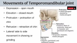 Movements of Temporomandibular Joint  Axes of Movements  Muscles producing the Movements with AA [upl. by Malda]