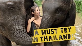 THAILAND playing with ELEPHANTS at the Chai Lai Orchid Sanctuary [upl. by Alleuol]