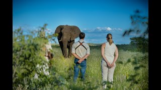 Ongava Game Reserve  Nature First [upl. by Nido206]