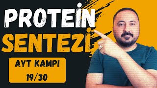 Genetik ŞifreProtein Sentezi  30 Derste AYT Biyoloji Kampı 19Ders  2025  Cici Biyoloji [upl. by Pauiie]