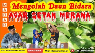 Mengolah Daun Bidara Agara Setan Merana  Daun Bidara Mengusir Jin  Cara Mengolah Bidara [upl. by Erbe]