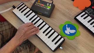 HOHNER vintage Melodica Piano 36 🧡 DemoTest 2 Songs  chromatic scale  Drums by Korg KR mini [upl. by Jerald551]