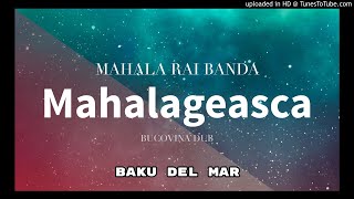 Mahala RAI Banda  Mahalageasca [upl. by Miza681]