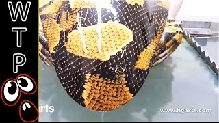 Water Transfer Printing  Hydrographics  Extremely Satisfying MUST WATCH [upl. by Ahsinwad]