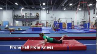 Gymnastics Video Model Prone Fall from Knees [upl. by Neal]