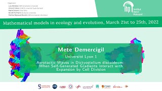 Aerotactic Waves in Dictyostelium discoideum [upl. by Ahsitan]