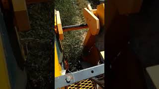 Arbequina olive harvest in Turkey [upl. by Hatch973]