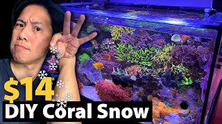 For 14 More Water Clarity No Cyano Vermetid Snail Lower Nutrients Testing out DIY Coral Snow [upl. by Llehcal]