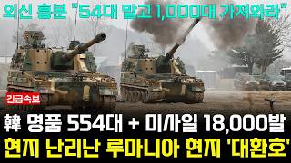 한국 명품 K2 전차 미사일 18000발 루마니아 현지 나타나 대환호하는 상황 외신 quot1000대 가져와라quot [upl. by Yentruoc776]