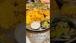 Chekele South Indian Food in Nagoya Japan [upl. by Haleemaj]